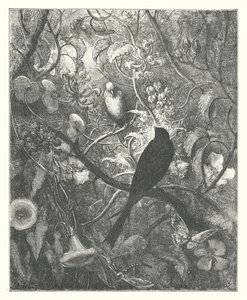 Le favole di La Fontaine: Filomela e Progne da Gustave Dore