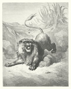 Le Favole di La Fontaine: Il Leone e il Moscerino da Gustave Dore