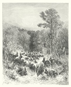 Le favole di La Fontaine: I conigli da Gustave Dore
