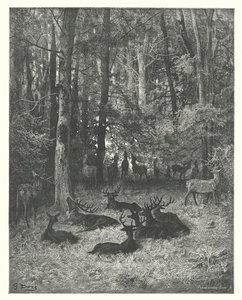 Le favole di La Fontaine: Il cervo malato (incisione) da Gustave Dore