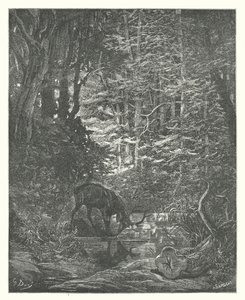 Le favole di La Fontaine: Il cervo che si guarda nel ruscello da Gustave Dore