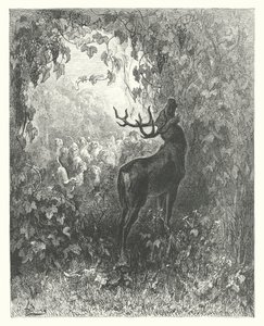 Le favole di La Fontaine: Il cervo e la vite da Gustave Dore