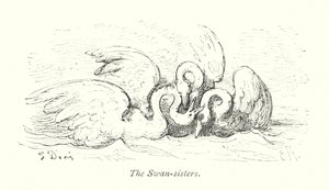 Le sorelle del cigno (incisione)