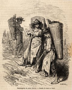 I raccoglitori di Xeres. Disegno di Gustave Doré, per illustrare il suo viaggio in Spagna nel 1862, con Ch. Davillier. Incisione in "Le tour du monde", edito da Edouard Charton