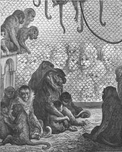 Giardini zoologici - La casa delle scimmie da Gustave Dore