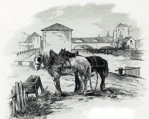 Cavalli da traino, quai de la Gironde, Villette Disegno di Gustave Fraipont (1849-1923) da Saint-Juirs da Gustave Fraipont
