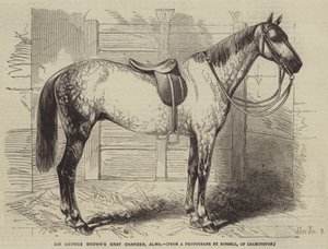 Il cavallo grigio di Sir George Brown, Alma da Gustave Janet