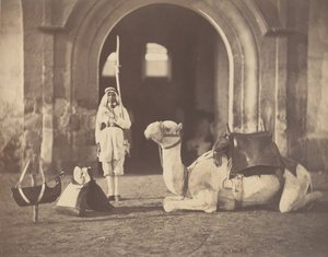 [Soldato e cammello militare], 1866 da Gustave Le Gray
