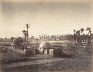 Veduta della Piana di Tebe presa dal tempio di Karnak da Gustave Le Gray