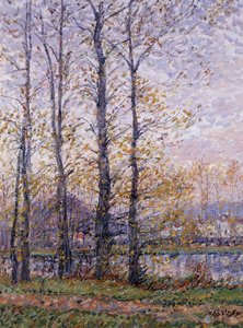 Le Rive dell