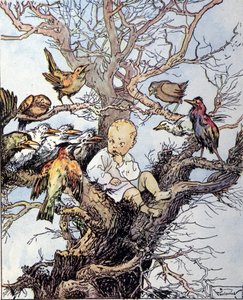 Illustrazione per “La storia di Peter Pan”, favola di James Matthew Barrie (JM o J. M. Barrie) da Gustavo Gustavino Rosso