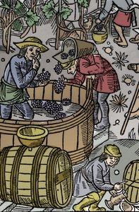 Raccolta - vendemmia - Calendario del pastore - I lavori dei mesi - Ottobre - Xilografia dal libro del 1496 stampato da Guy Marchant (Guido Mercator) a Troyes - Incisione su legno in Le grand Calendrier et compost des shepherds - La raccolta da Guy Marchant