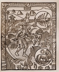 Calendario del pastore - I lavori dei mesi - Luglio - Xilografia dal libro del 1496 stampato da Guy Marchant (Guido Mercator) a Troyes - Fieno, la raccolta del fieno - Incisione su legno in 