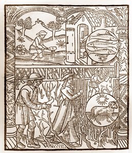 Calendario del pastore - I lavori dei mesi - Marzo - Xilografia dal libro del 1496 stampato da Guy Marchant (Guido Mercator) a Troyes - Incisione su legno in 