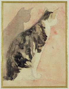 Studio di un gatto da Gwen John