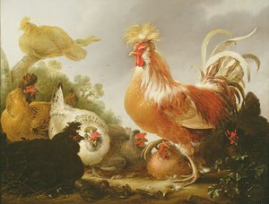 Gallo e galline in un paesaggio, 1649 da Gysbert Hondecoeter