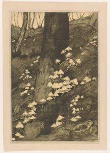 Funghi in un bosco (Herfst) da H.C. Spruit (signed by artist)