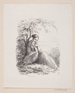 Illustrazione per "I cigni selvatici" in H.C. Andersen, "Fiabe e storie", Volume 1 da H.P. Hansen