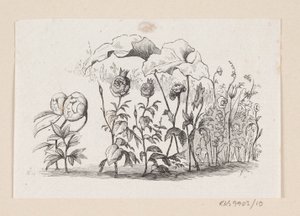 Illustrazione per "I fiori della piccola Ida" in H.C. Andersen, "Fiabe e storie", Volume 1 da H.P. Hansen