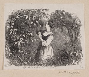 Illustrazione per "Una foglia dal cielo" in H.C. Andersen, "Fiabe e Storie", Volume 2