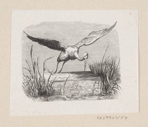 Illustrazione per "Le cicogne" in H.C. Andersen, "Fiabe e storie", Volume 1 da H.P. Hansen