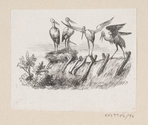 Illustrazione per "Le Cicogne" in H.C. Andersen, "Fiabe e Storie", Volume 1 da H.P. Hansen