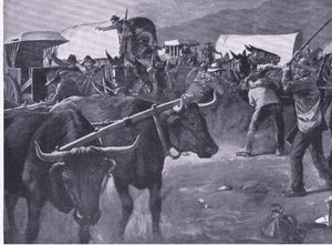 Un inspan frettoloso, illustrazione da After Pretoria: The Guerilla War, 1902 da H. Dixon
