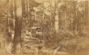 Scena a Folly Island da Haas and Peale