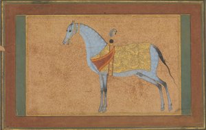 Uno stallone, ca. 1601-6