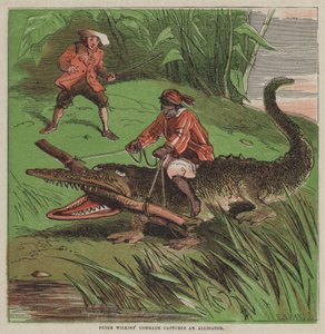 Il compagno di Peter Wilkins cattura un alligatore (litografia a colori) da after Hablot Knight Browne