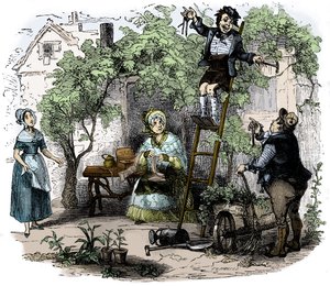 La bottega dell