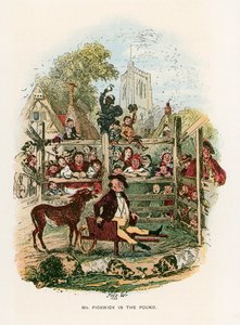 Illustrazione per 