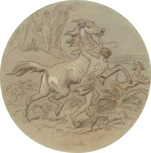 Uno dei diciotto disegni per una serie di piatti che illustrano Venere e Adone da Hablot Knight Browne