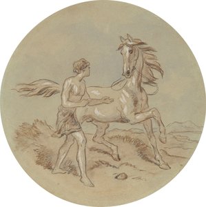 Uno dei diciotto disegni per una serie di tavole che illustrano Venere e Adone da Hablot Knight Browne