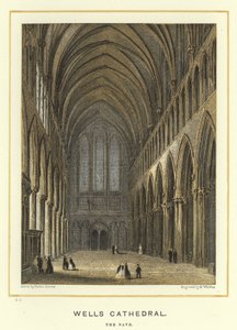 Cattedrale di Wells, la navata da Hablot Knight Browne