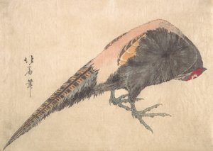 Uccello da Hakusanjin Hokui