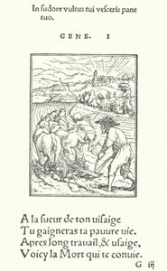 Il contadino