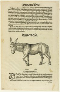 Illustrazione da "Thierbuch", tavola 42 da Xilografie da libri del XVI secolo da Hans Asper