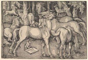 Gruppo di sette cavalli, 1534
