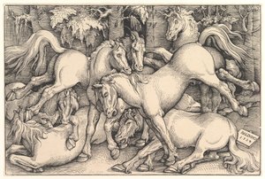 Gruppo di sette cavalli, 1534 da Hans Baldung
