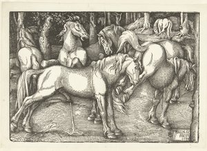 Gruppo di sei cavalli che combattono da Hans Baldung Grien