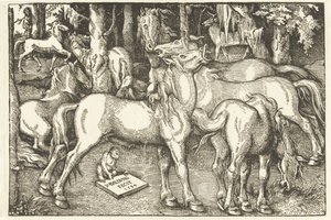 Gruppo di sette cavalli e una scimmia da Hans Baldung Grien