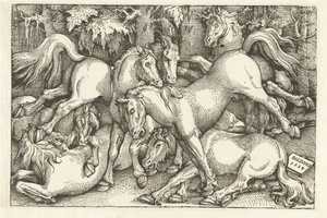 Gruppo di sette cavalli in lotta da Hans Baldung Grien