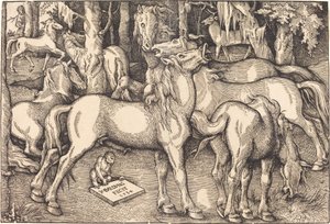 Gruppo di sette cavalli da Hans Baldung Grien