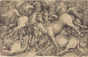 Gruppo di sette cavalli nei boschi da Hans Baldung Grien