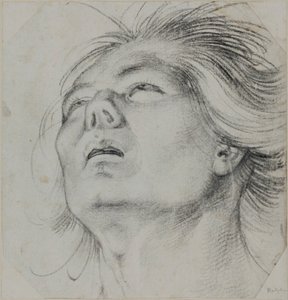  da Hans Baldung Grien