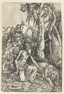 San Girolamo come penitente nel deserto da Hans Baldung Grien