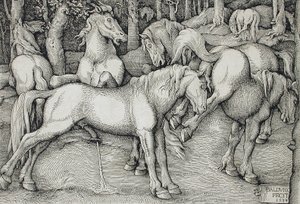 Uno stallone e una giumenta che scalcia in mezzo a un gruppo di cavalli selvatici nel bosco da Hans Baldung Grien