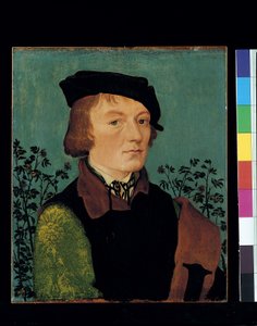Ritratto Di Un Uomo Davanti A Una Siepe Di Rose da Hans Baldung Grien