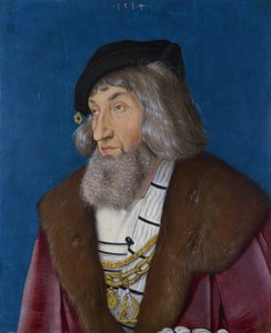 Ritratto di un uomo da Hans Baldung Grien